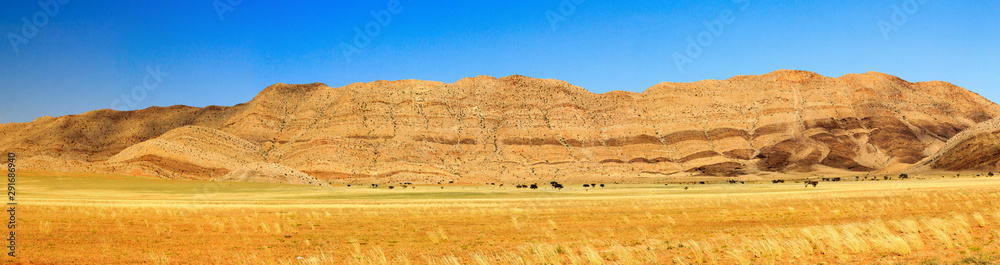 Mountain panorama with grass landscape, Namib Naukluft National Park, Namibia, Africa