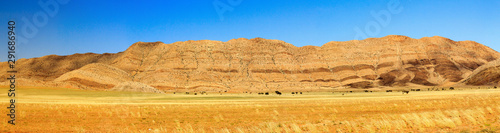 Mountain panorama with grass landscape  Namib Naukluft National Park  Namibia  Africa