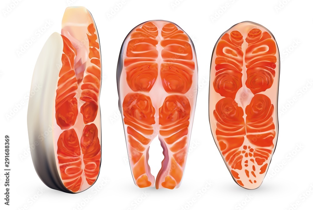 Set fillet salmon isolated on white background. 3D realistic slice of red fish. Beautiful steaks salmon. Fresh salmon close up. Vector illustration