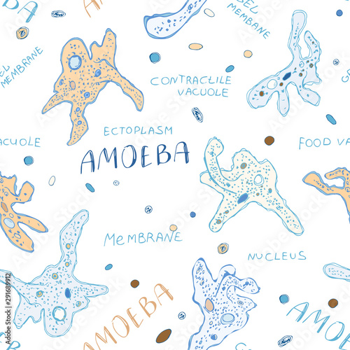 Seamless background Amoeba structure