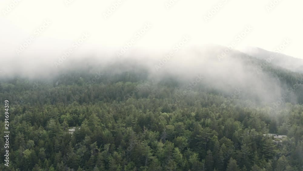 Drone shot passing through extremely dense fog above a deep green forest