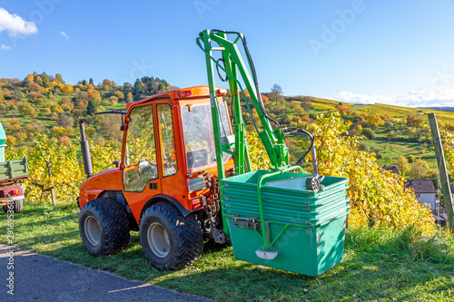 Weinlese im Remstal photo