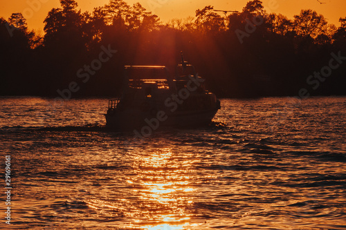 Tigre 28