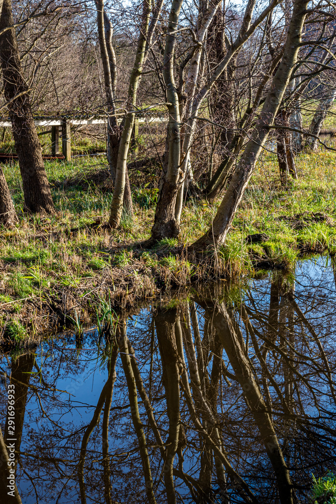 Autumn pictures with reflections in the water in autumn light Autumn pictures with reflections in the water in autumn light