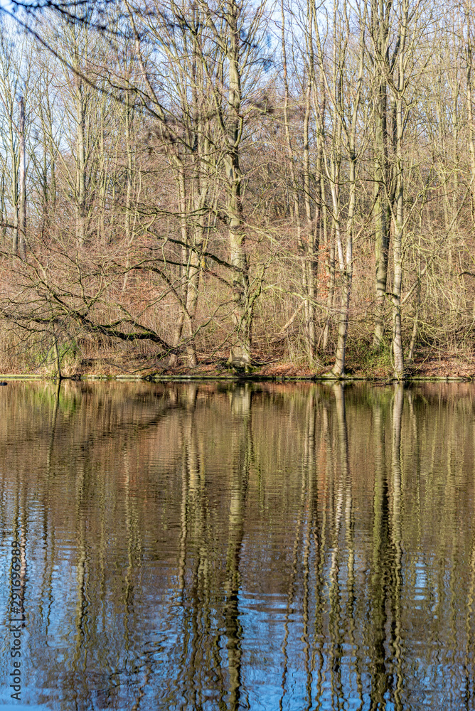 Autumn pictures with reflections in the water in autumn light Autumn pictures with reflections in the water in autumn light