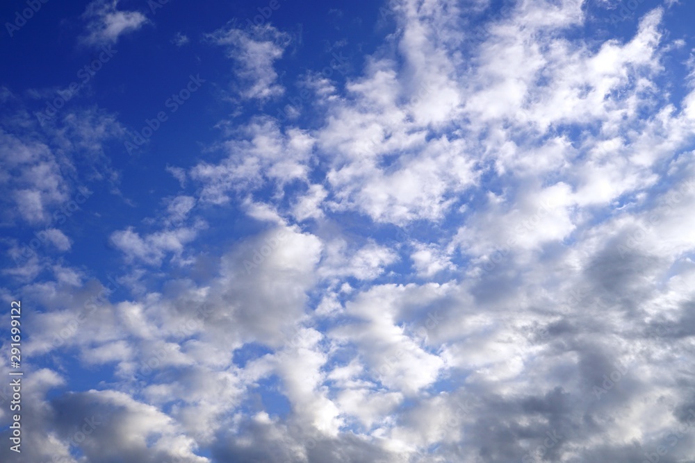 Fototapeta premium blue sky with white clouds