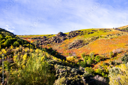 mountain autumnal landscape