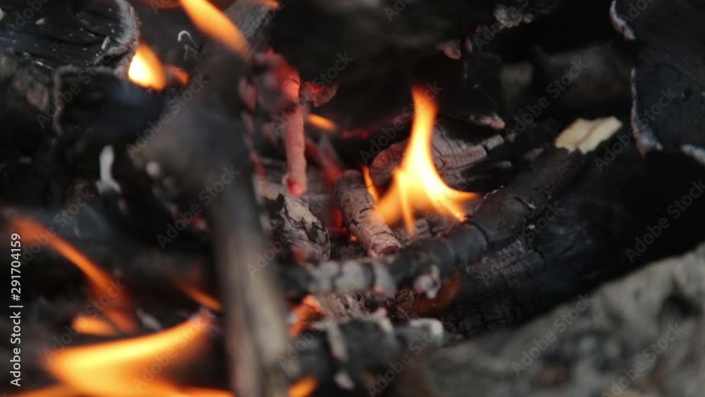 Burning branches on a picnic fire. Fire and coals in the forest in macro. Burning branches on a picnic fire. Fire and coals in the forest in macro.