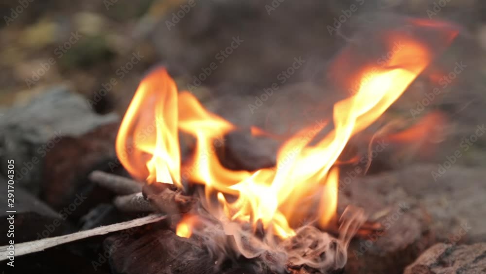 Burning branches on a picnic fire. Fire and coals in the forest in macro. Burning branches on a picnic fire. Fire and coals in the forest in macro.