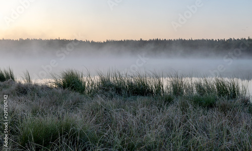 Scenic view from swamp , morning landscape with fog over a small forest lake and swamp at autumn morning, frost, beautiful reflections, Driskina lake, Raiskums parish, Latvia © ANDA
