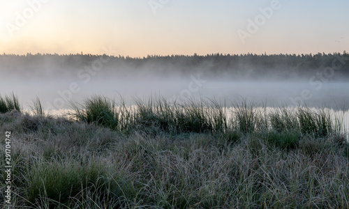 Scenic view from swamp   morning landscape with fog over a small forest lake and swamp  at autumn morning  frost  beautiful reflections  Driskina lake  Raiskums parish  Latvia