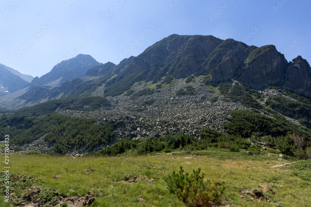 Fototapeta premium Landscape of Begovitsa River Valley, Pirin Mountain, Bulgaria