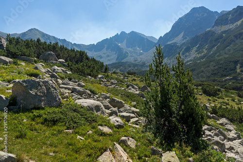 Yalovarnika peak and Begovitsa River Valley, Pirin Mountain photo