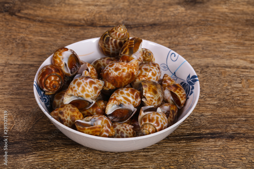 Fototapeta premium Tasty mollusk - spotted Babylon in the bowl