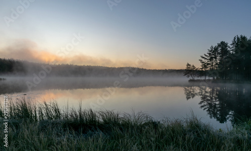 Scenic view from swamp   morning landscape with fog over a small forest lake and swamp  at autumn morning  frost  beautiful reflections  Driskina lake  Raiskums parish  Latvia