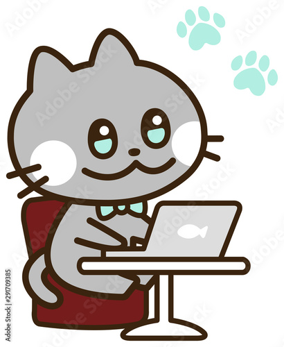 using computer Russian Blue cat