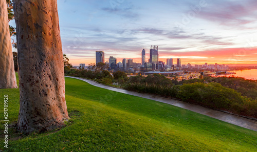 Perth Western Australia Cityscape from Kings Park
