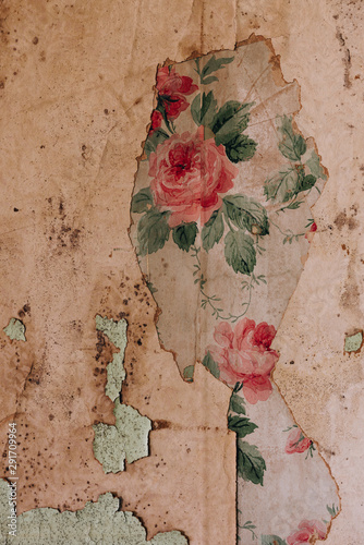 Vintage Wallpaper Detail - Abandoned Ohio State Reformatory Prison - Mansfield, Ohio photo