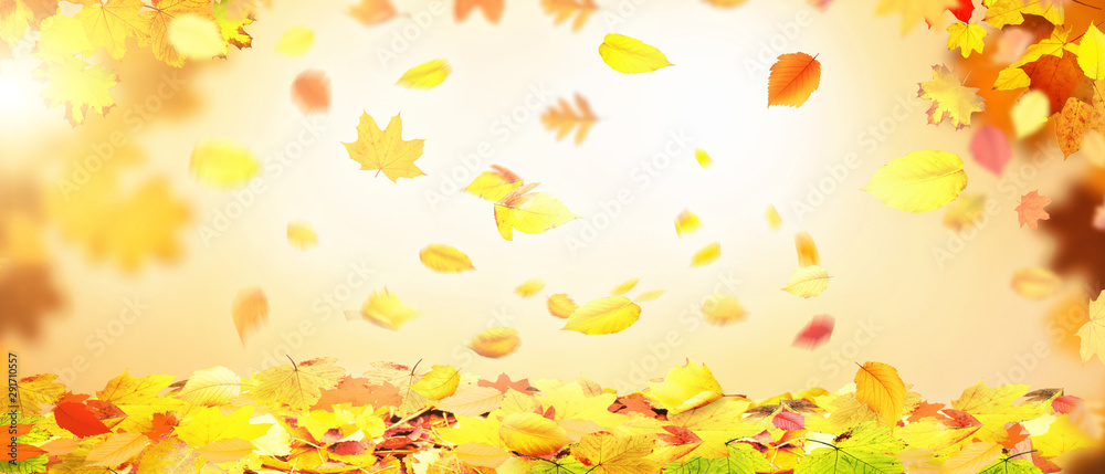 Goldener Herbst Goldener Herbst