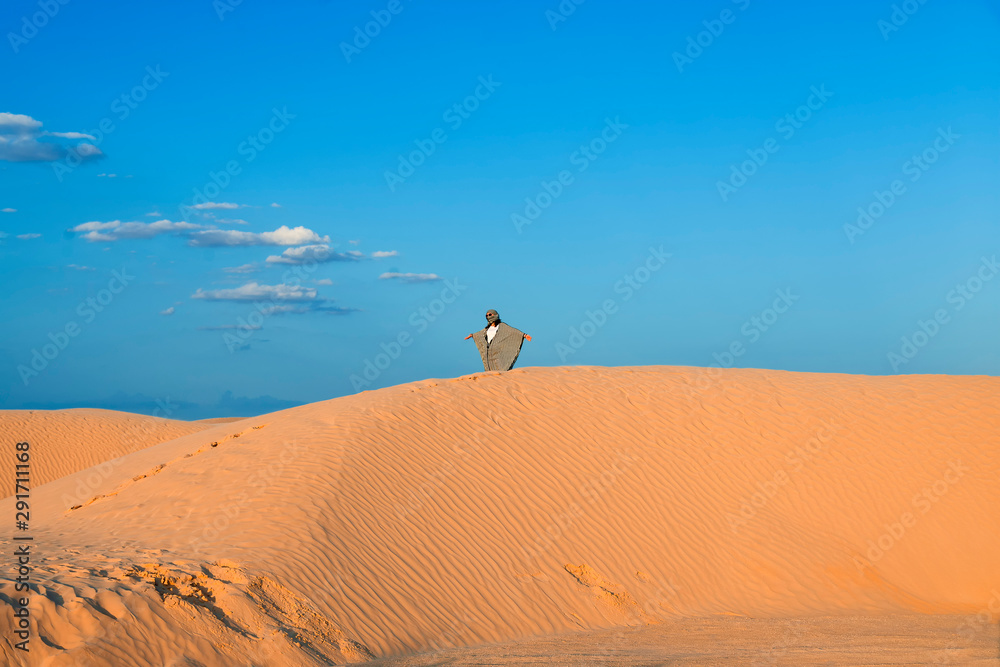 the sands of the Sahara desert lit by the setting sun