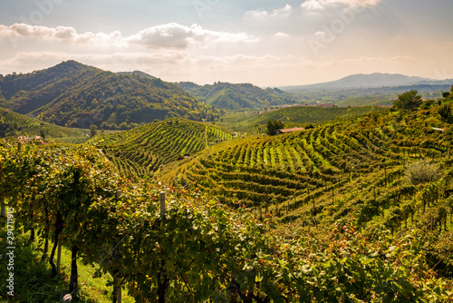 Vineyards in Valdobbiadene © trattieritratti