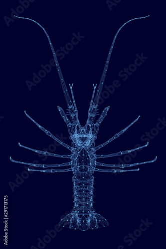 Polygonal wireframe of a lobster with luminous lights of blue lines on a dark background. View from above. Vector illustration.