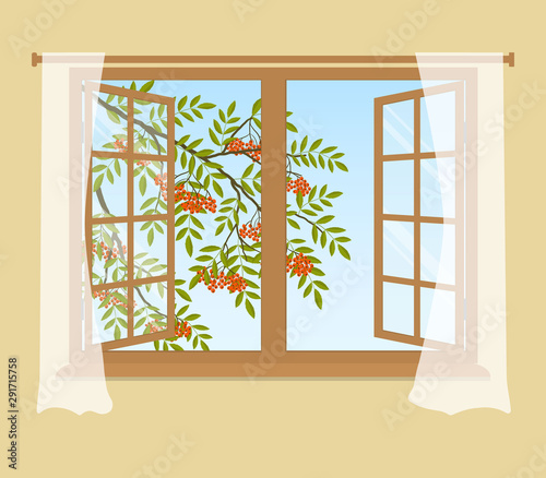 Rowan branch outside the window. Orange berries with green leaves. Open window with curtains on a beige background. Vector illustration