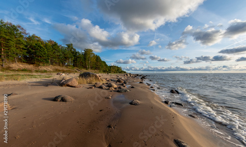 seascape image of the sea with  stones and grass of light before sunset   quiet sea. baltic sea  Tuja beatch  Latvia