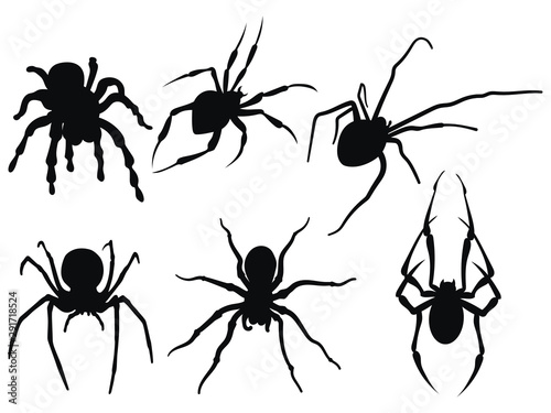Tableau sur Toile Set of spiders