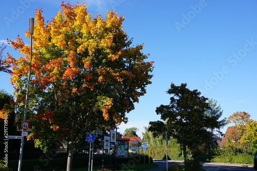 Herbststimmung im Dorf Stockheim
