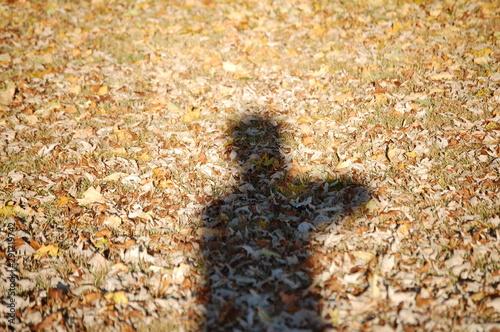 The photographer photographing the photographer.