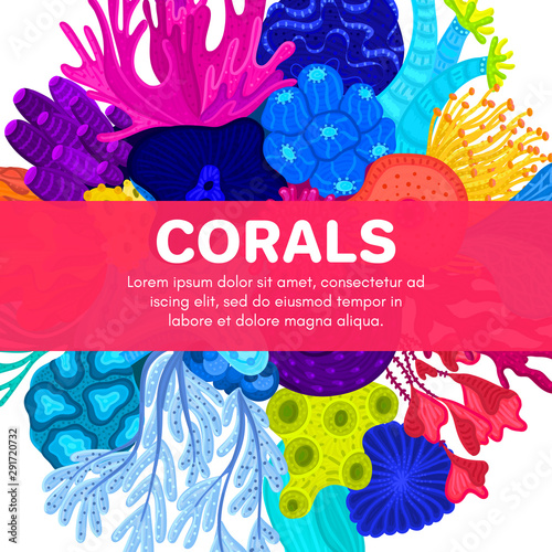 Vector composition of corals. Background with colorful sea or ocean life. Template for cover, invitation, banner, brochure, flyer, label, header. Advertising of water park, aquarium, marine exhibition