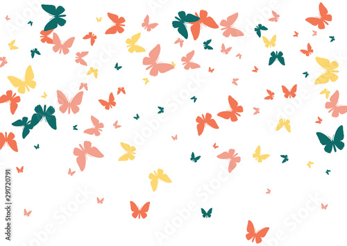 Festive colorful butterfly confetti background. Frame vector pattern texture for holiday  postcard  poster  website  carnival  banner  birthday and children s parties. Butterfly summer cover mock-up. 