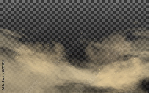 Realistic cloud with dirt and soil particles. Vector illustration