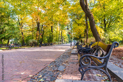 autumn is coming view of city park with yellow and green trees © phpetrunina14