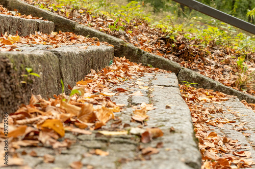 Fallen leaves on cobblestone stairs in a park