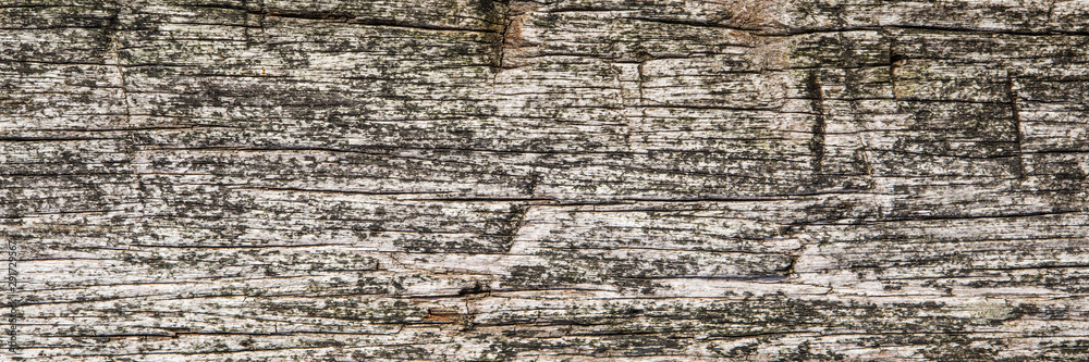old brown wood surface texture old brown wood surface texture