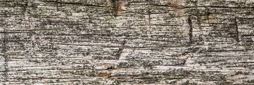 old brown wood surface texture