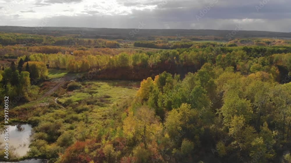 Drone flight over dramatic falls colored trees with farm fields and a gravel road. Drone flight over dramatic falls colored trees with farm fields and a gravel road.