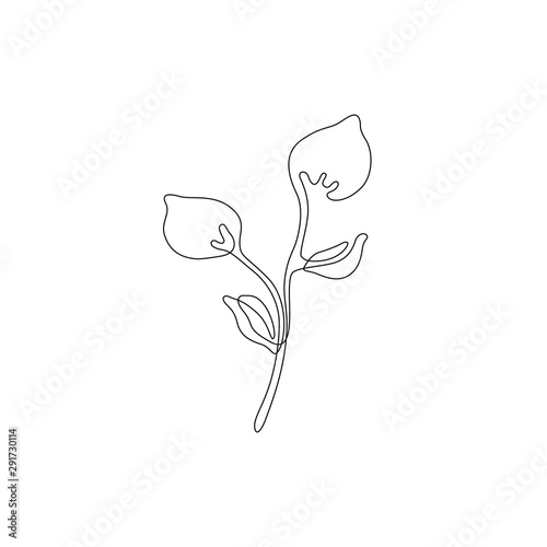 Plant leaf, flower continuous line drawing, eco icon, tattoo, print for clothes, leaves logo design, silhouette single line on a white background, isolated vector illustration.