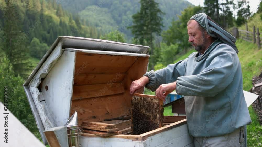 Beekeeper removing honeycomb from beehive. Professional beekeeper working at apiary on a summer day. Beekeeper removing honeycomb from beehive. Professional beekeeper working at apiary on a summer day.