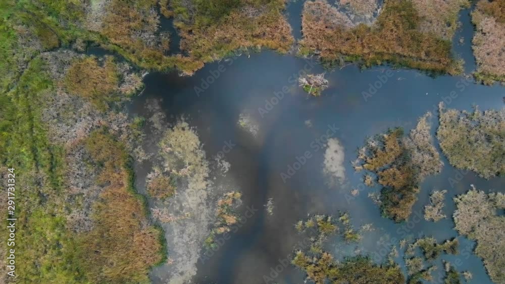 Drone dropping vertically over a swampy stream and beaver pond with fall colors showing on the grass and trees. Clouds are reflecting in the water. Drone dropping vertically over a swampy stream and beaver pond with fall colors showing on the grass and trees. Clouds are reflecting in the water.