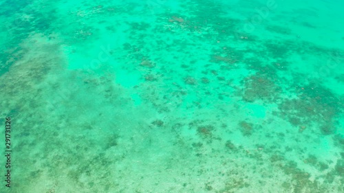 Wallpaper Mural Coral reefs and atolls in the tropical sea, top view. Turquoise sea water and beautiful shallows. Philippine nature. Sea surface. Torontodigital.ca