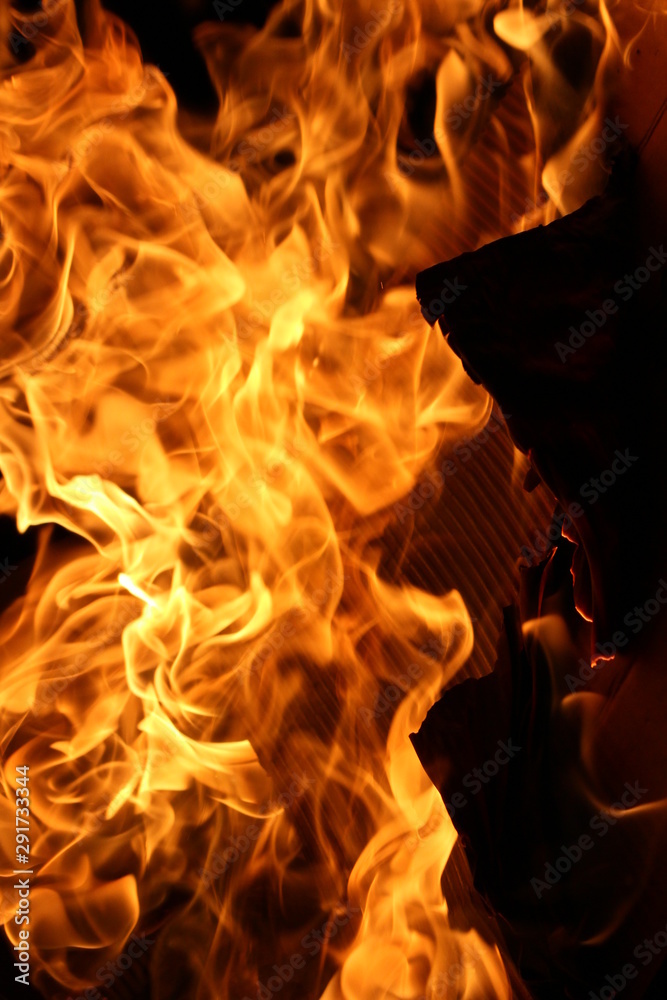 Fototapeta premium fire in fireplace