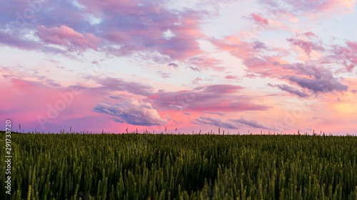 Weizenfeld bei Sonnenuntergang – Dramatische Wolken und frohe frohe farbenen Himmel über grüne Landschaft