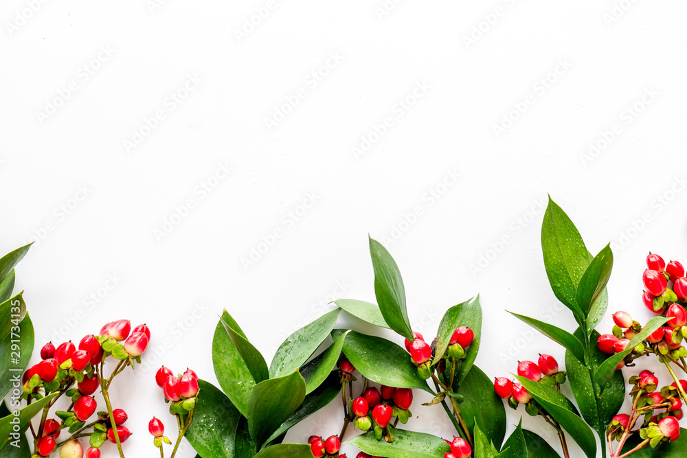 Green leaves and red berries frame on white background top view copyspace Green leaves and red berries frame on white background top view copyspace