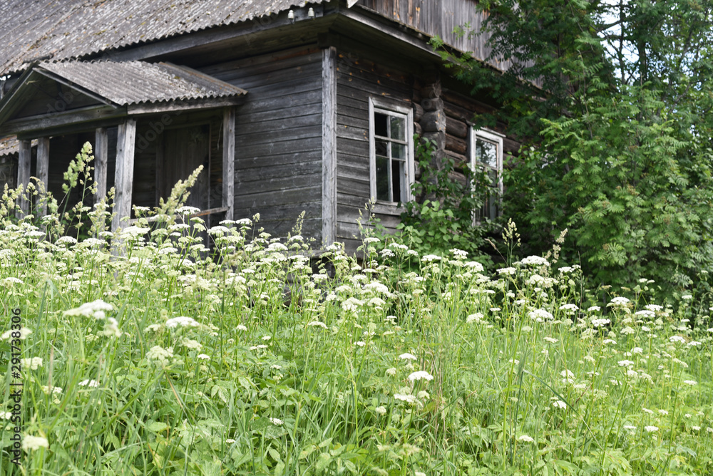 Old, abandoned, rural house surrounded by grass