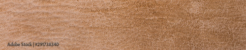 brown leather texture with space for your text