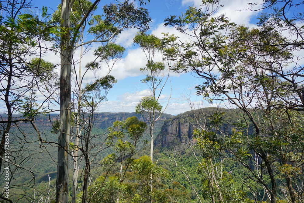 Three sisters pinnacles in the Blue mountain national park in Sysdney Three sisters pinnacles in the Blue mountain national park in Sysdney