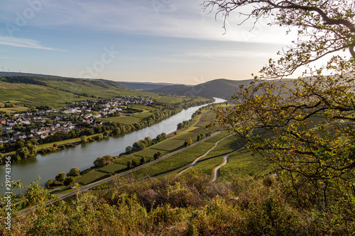 Panoramablick auf das Moseltal mit dem Weinort Brauneberg im Hintergrund an einem sonnigen Herbsttag kurz vor Sonnenuntergang photo